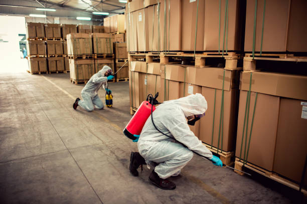 Best Emergency Pest Control  in Westchase, FL