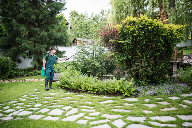 Wasp Removal Services in Westchase, FL