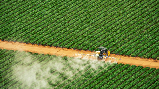 Best Pest Control for Businesses  in Westchase, FL