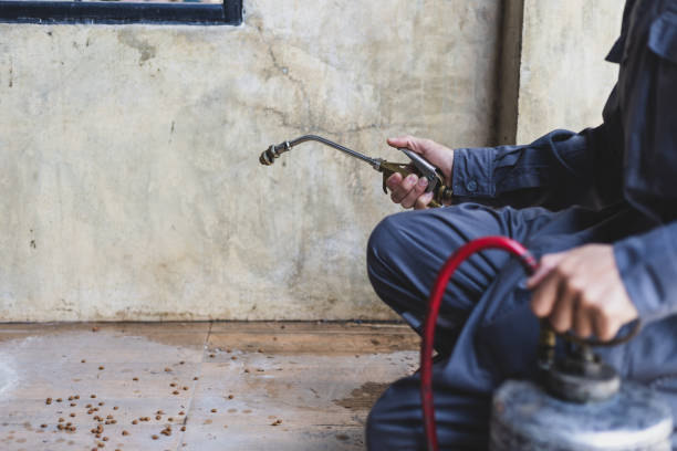 Best Wasp Removal Services  in Westchase, FL